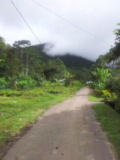 thumb_2014-01-05_14.42.34.jpg