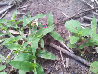 thumb_2014-01-13_07.55.24.jpg