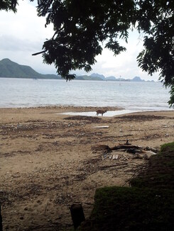 thumb_2014-01-13_09.14.04.jpg
