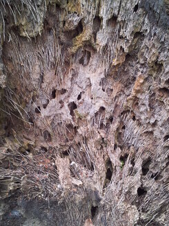 thumb_2014-01-13_09.27.55.jpg