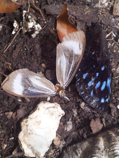 thumb_2014-01-14_11.45.31.jpg