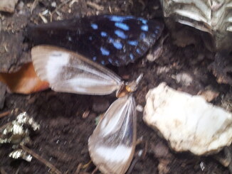 thumb_2014-01-14_11.45.47.jpg