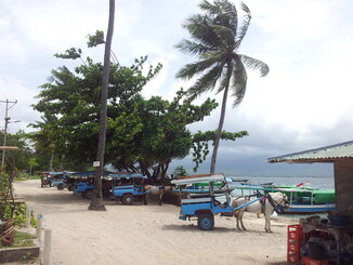 thumb_2014-01-16_12.28.20.jpg