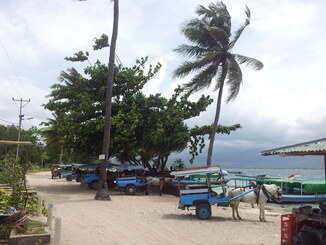 thumb_2014-01-16_12.28.22.jpg