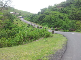 thumb_2014-01-22_11.01.09.jpg