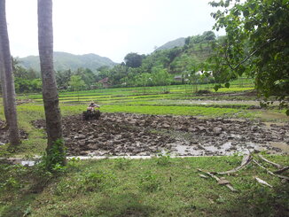 thumb_2014-01-22_11.06.11.jpg