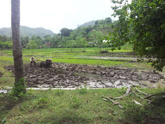 thumb_2014-01-22_11.06.16.jpg