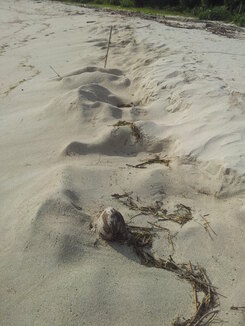 thumb_2014-01-22_16.38.49.jpg