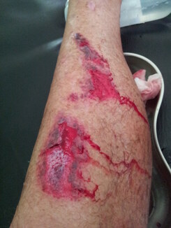 thumb_2014-01-25_11.27.04.jpg