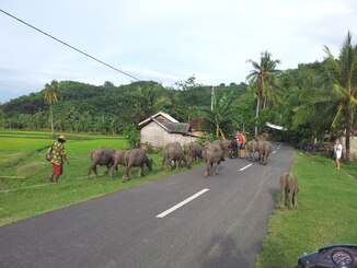 thumb_2014-01-25_17.25.31.jpg
