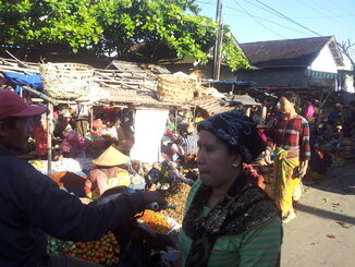 thumb_2014-01-27_07.54.04.jpg
