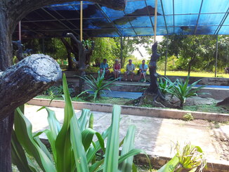 thumb_2014-01-30_12.13.16.jpg