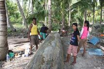 thumb_IMG_3184.JPG