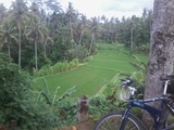 thumb_20140313_122734.jpg