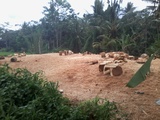 thumb_20140313_132409.jpg