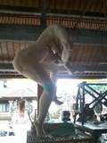 thumb_20140313_133202.jpg