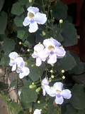 thumb_20140314_135518.jpg