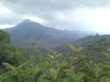 thumb_20140316_125650.jpg