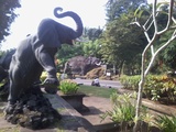 thumb_20140317_090857.jpg
