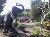 thumb_20140317_090906.jpg
