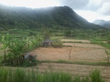 thumb_20140319_150223.jpg