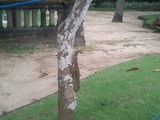 thumb_20140321_152704.jpg