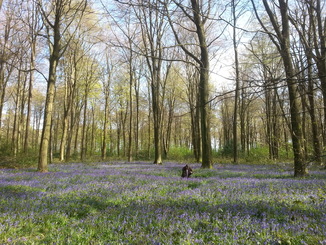 thumb_2014-04-18_16.20.05.jpg