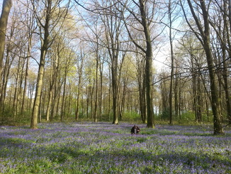 thumb_2014-04-18_16.20.08.jpg