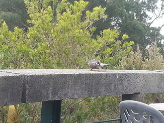 thumb_2014-04-23_05.40.17.jpg