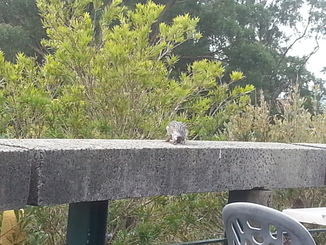 thumb_2014-04-23_05.40.20.jpg