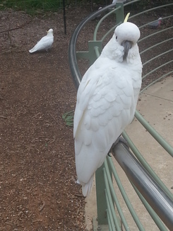 thumb_2014-04-23_07.29.19.jpg