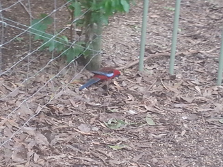 thumb_2014-04-23_07.30.03.jpg