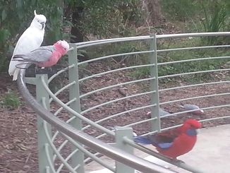 thumb_2014-04-23_07.30.14.jpg