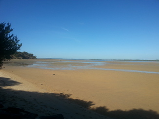 thumb_2014-04-25_04.32.32.jpg