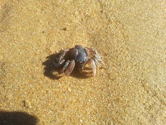 thumb_2014-04-25_04.41.20.jpg