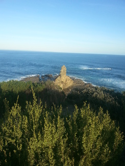 thumb_2014-04-25_07.22.07.jpg