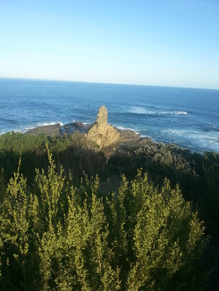 thumb_2014-04-25_07.22.10.jpg