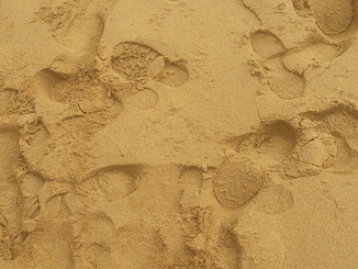 thumb_2014-04-28_07.08.35.jpg