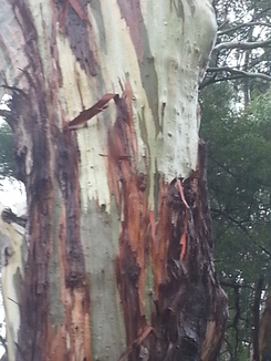 thumb_2014-04-29_04.42.29.jpg
