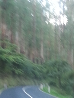 thumb_2014-04-30_07.18.11.jpg