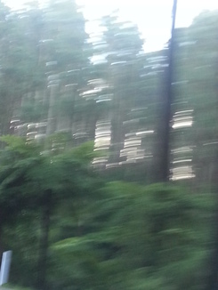 thumb_2014-04-30_07.23.41.jpg