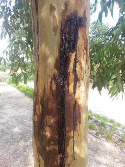 thumb_2014-05-01_05.23.47.jpg