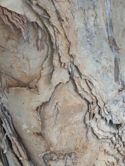 thumb_2014-05-01_06.01.55.jpg