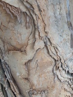 thumb_2014-05-01_06.01.56.jpg