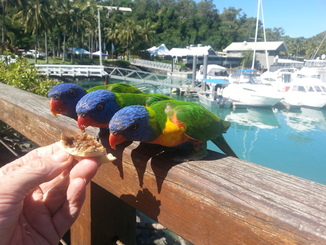 thumb_2014-05-03_13.28.17.jpg