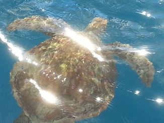 thumb_2014-05-07_16.49.18.jpg
