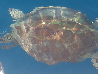 thumb_2014-05-07_16.49.31.jpg