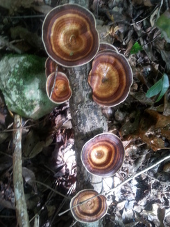thumb_2014-05-11_13.57.08.jpg