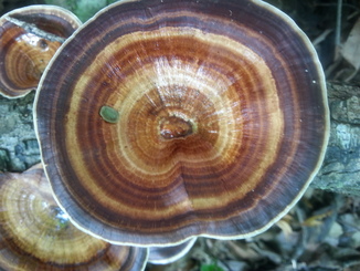 thumb_2014-05-11_13.57.19.jpg