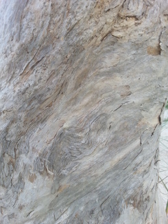 thumb_2014-05-11_14.29.45.jpg